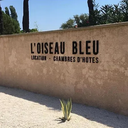 Domaine L'Oiseau Bleu, 800 M From The Beach In Sainte-Maxime Buitenkant foto