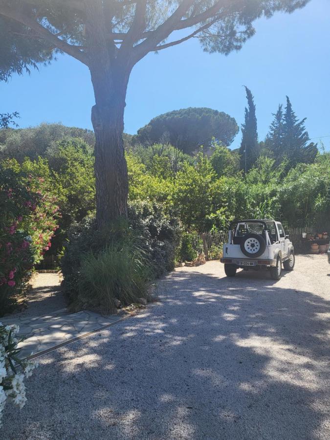 Villa Domaine L'oiseau Bleu, 800 M From The In Sainte-Maxime